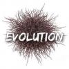 Flavor :  Evolution by Survival