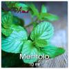 Flavor :  Mentolo par SVAPAMO
