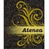 Flavor :  Atenea by The E-liquid Factory
