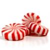 Flavor :  Candy Mint by The E-liquid Factory