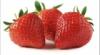 Flavor :  Fresa Clasico by The E-liquid Factory