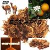 Flavor :  Serapis by The E-liquid Factory