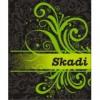 Flavor :  Skadi by The E-liquid Factory