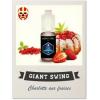 Arme :  giant swing