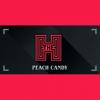 Flavor :  Peach Candy by The H