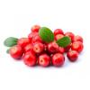 Flavor :  Cranberries by The Hype Juices