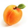 Flavor :  Gourmet Abricot by The Hype Juices