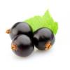 Arôme : Gourmet Cassis Naturel
Dernière mise à jour le : 14-03-2018 Arôme : Gourmet Cassis Naturel
Dernière mise à jour le : 14-03-2018