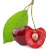 Arôme : Gourmet Cerise Naturel
Dernière mise à jour le : 14-03-2018 Arôme : Gourmet Cerise Naturel
Dernière mise à jour le : 14-03-2018