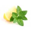 Flavor :  Menthe Citron by The Hype Juices
