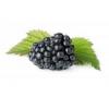 Flavor :  Blackberry by The Rebranded Range