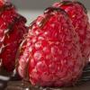 Flavor :  Chocolate Raspberry by The Rebranded Range