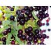 Flavor :  Choke Cherry by The Rebranded Range