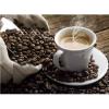 Flavor :  Coffee Fresh by The Rebranded Range