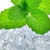 Flavor :  Fresh Mint by The Rebranded Range