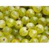Flavor :  Gooseberry by The Rebranded Range