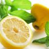 Flavor :  Lemon Mint by The Rebranded Range