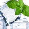 Flavor :  Mint Ice by The Rebranded Range