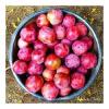 Flavor :  Plum Bowl by The Rebranded Range