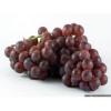 Flavor :  Red Grape par THE REBRANDED RANGE