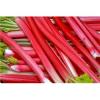 Flavor :  Rhubarb by The Rebranded Range