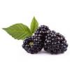 Flavor :  Sweet Blackberry by The Rebranded Range