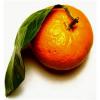 Flavor :  Tangerine by The Rebranded Range
