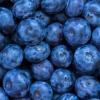 Flavor :  Twisted Smurfberry by The Rebranded Range