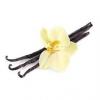 Flavor :  Vanilla by The Rebranded Range