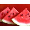 Flavor :  Watermelon Wow by The Rebranded Range