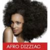 Arme :  Afro Dizziac 
Dernire mise  jour le :  28-11-2014 