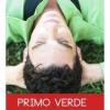 Flavor : primo verde by T Juice Flavor : primo verde by T Juice