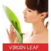 Arôme : Virgin Leaf
Dernière mise à jour le : 28-02-2015 Arôme : Virgin Leaf
Dernière mise à jour le : 28-02-2015