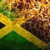 Flavor :  Jamaica par TOB