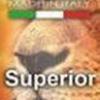 Flavor :  Superior by ToB