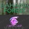 Flavor :  Bahama Forest by Twisted Vaping