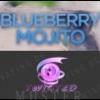 Flavor :  Blueberry Mojito by Twisted Vaping