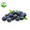 Flavor :  Heidelbeere par ULTRABIO 24