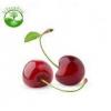 Flavor :  Kirsche by Ultrabio 24