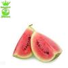 Flavor :  Melone by Ultrabio 24