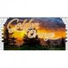 Flavor :  Golden Orange by Urban Juice