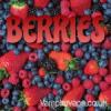 Flavor :  Berries by Vampire Vape