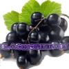 Flavor : blackcurrant by Vampire Vape Flavor : blackcurrant by Vampire Vape