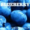 Flavor :  Blueberry by Vampire Vape