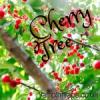 Flavor :  Cherry Tree by Vampire Vape
