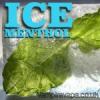 Flavor :  Ice Menthol by Vampire Vape