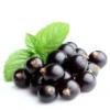 Flavor :  Blackcurrant by Vapable Ltd