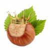 Flavor :  Nutty Prinzess by Vape4Me