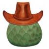 Flavor :  The Cherimoyas Cowboy by Vape4Me