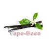 Flavor :  Vanilla by VapeBase